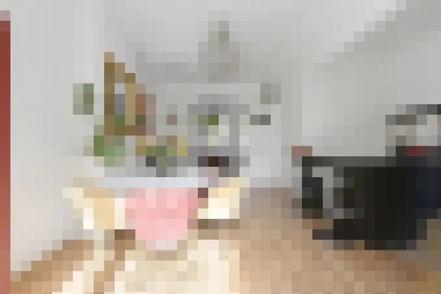 Piet Heinstraat 32 Delft thumbnail 12