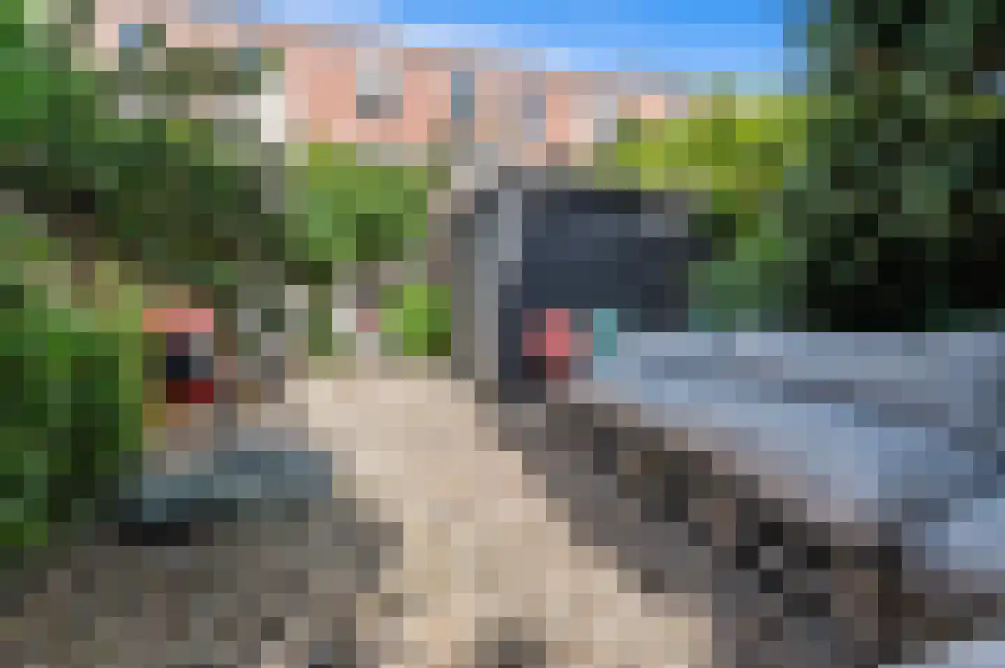 Piet Heinstraat 32 Delft thumbnail 20