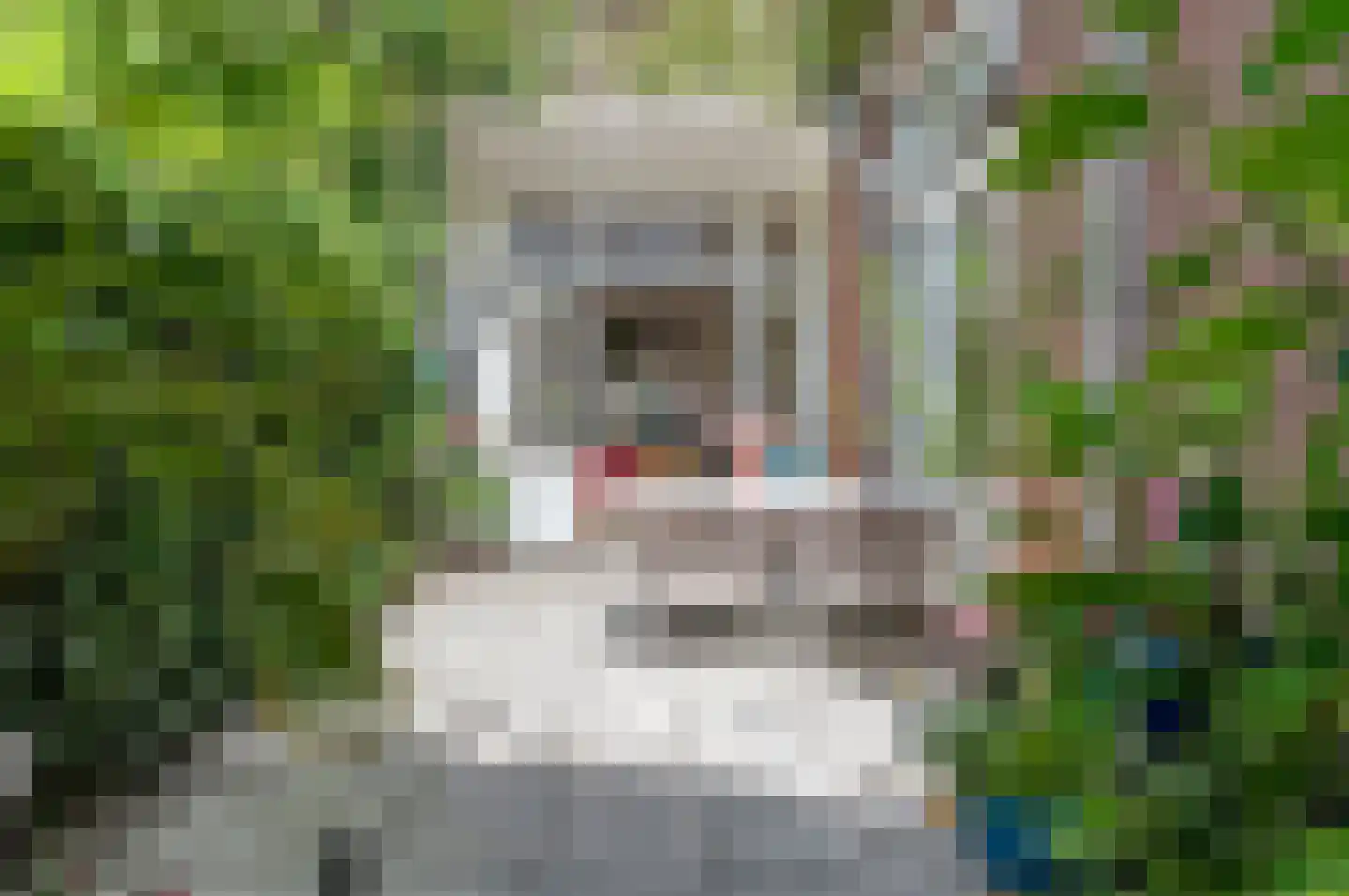 Piet Heinstraat 32 Delft foto 3