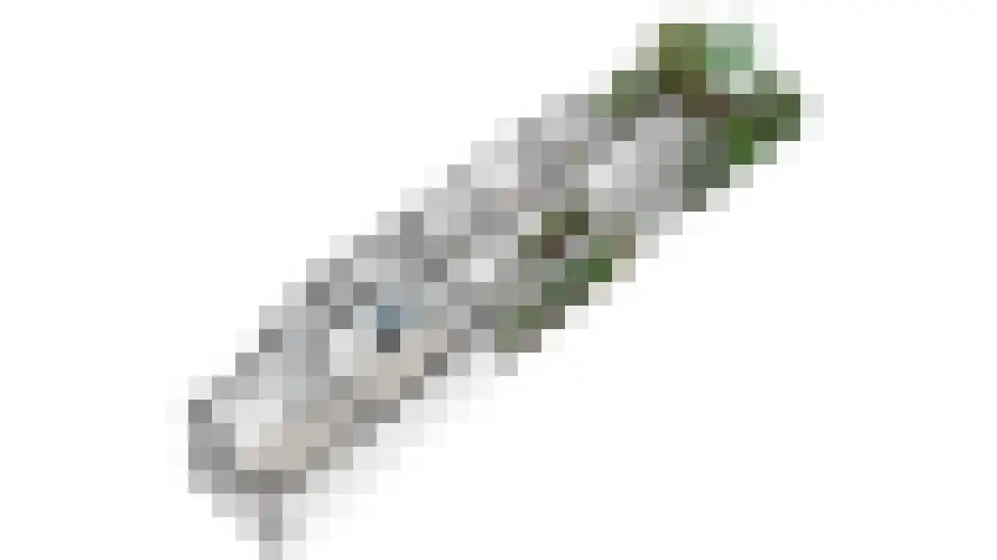 Piet Heinstraat 32 Delft thumbnail 37