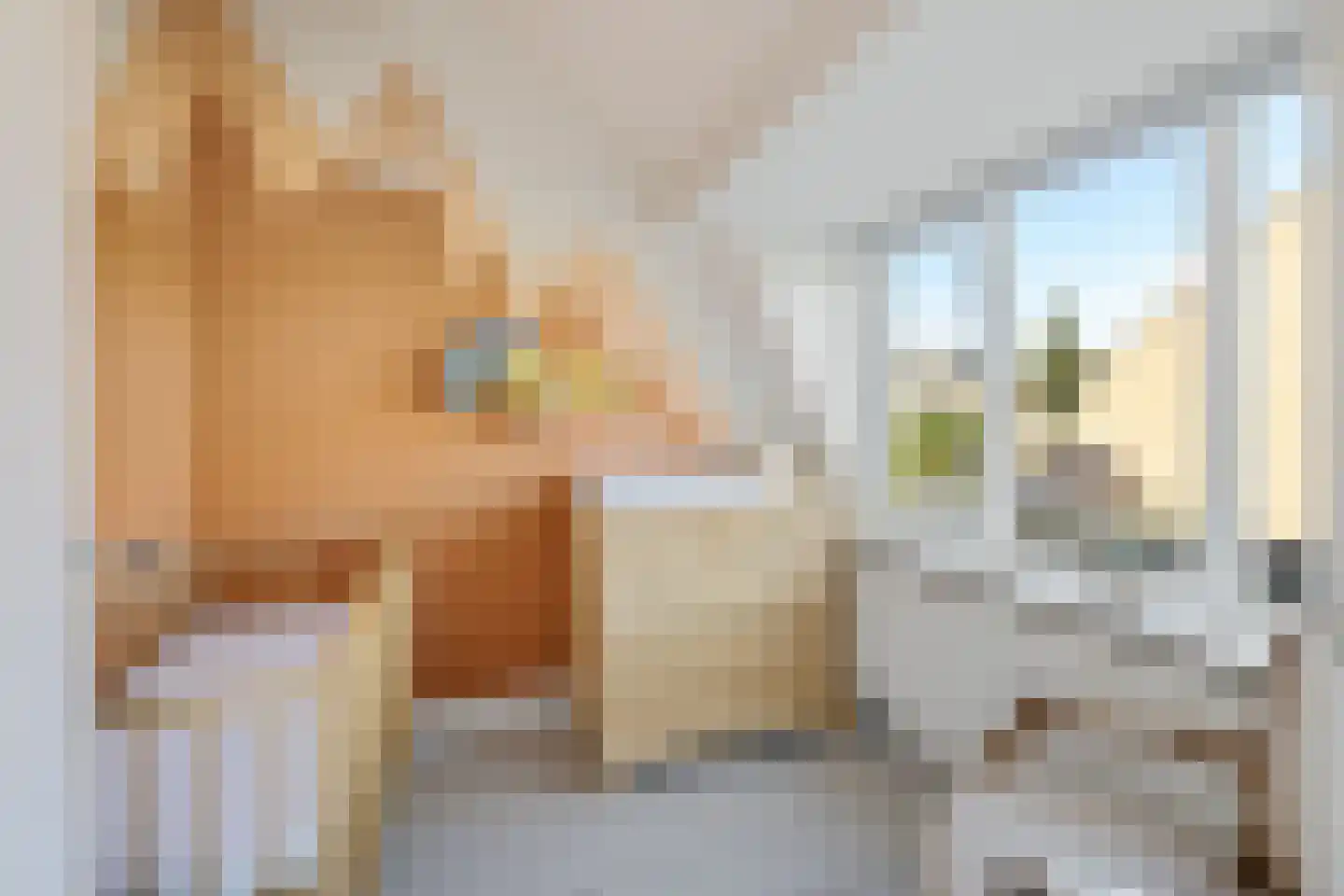 Piet Heinstraat 32 Utrecht thumbnail 31