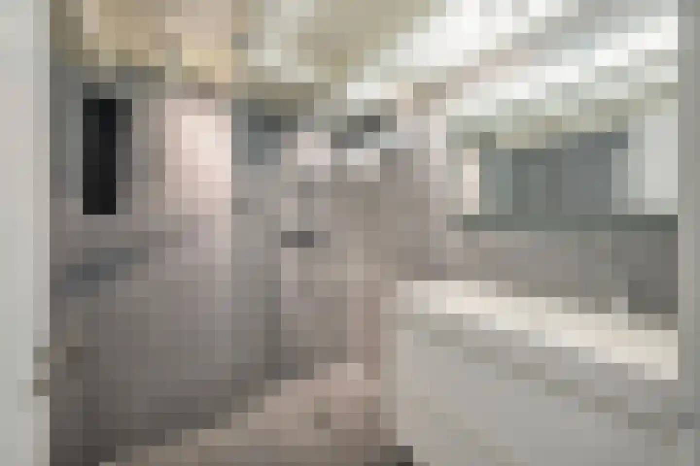 Piet Heinstraat 32 Utrecht thumbnail 36