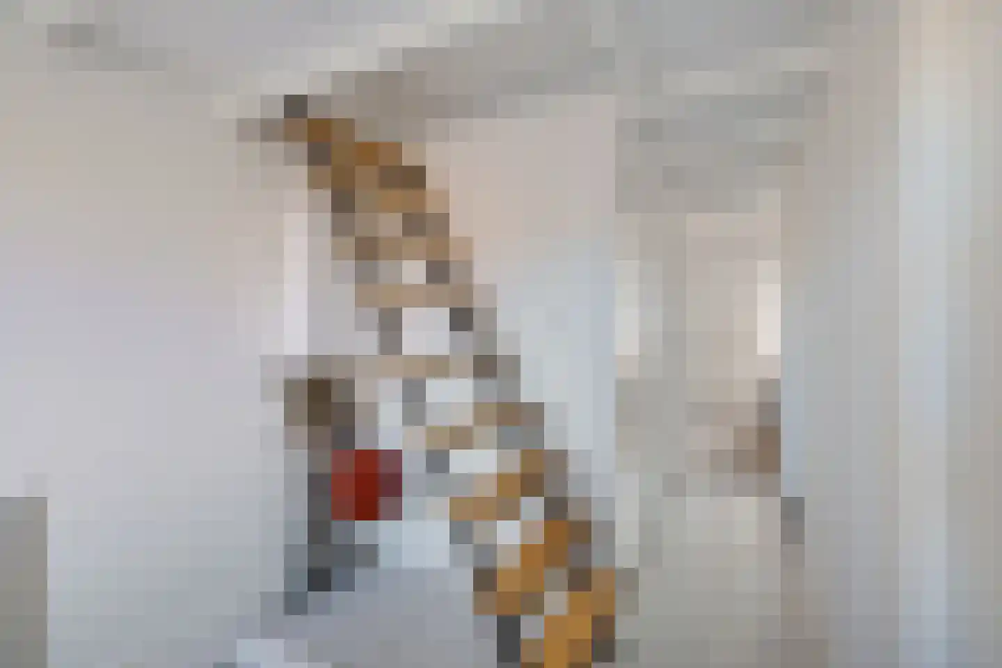 Piet Heinstraat 32 Utrecht thumbnail 39