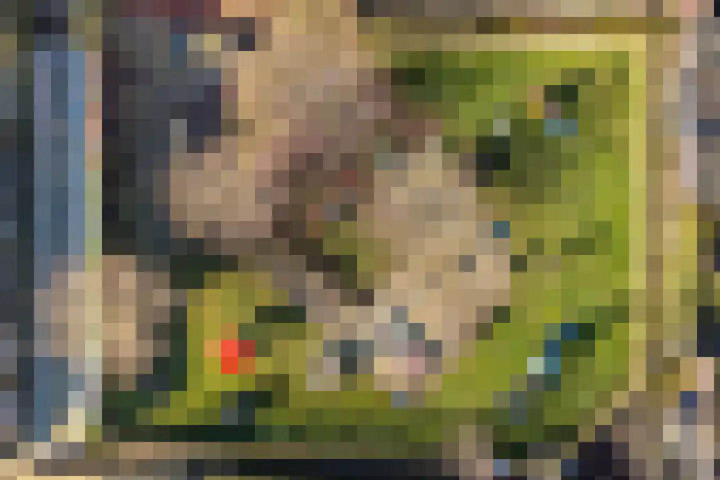 Piet Heinstraat 32 Utrecht thumbnail 44