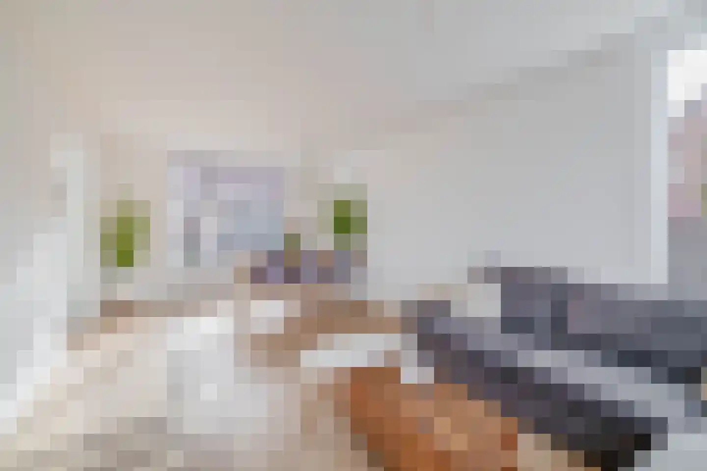 Piet Heinstraat 33 Wormerveer thumbnail 11