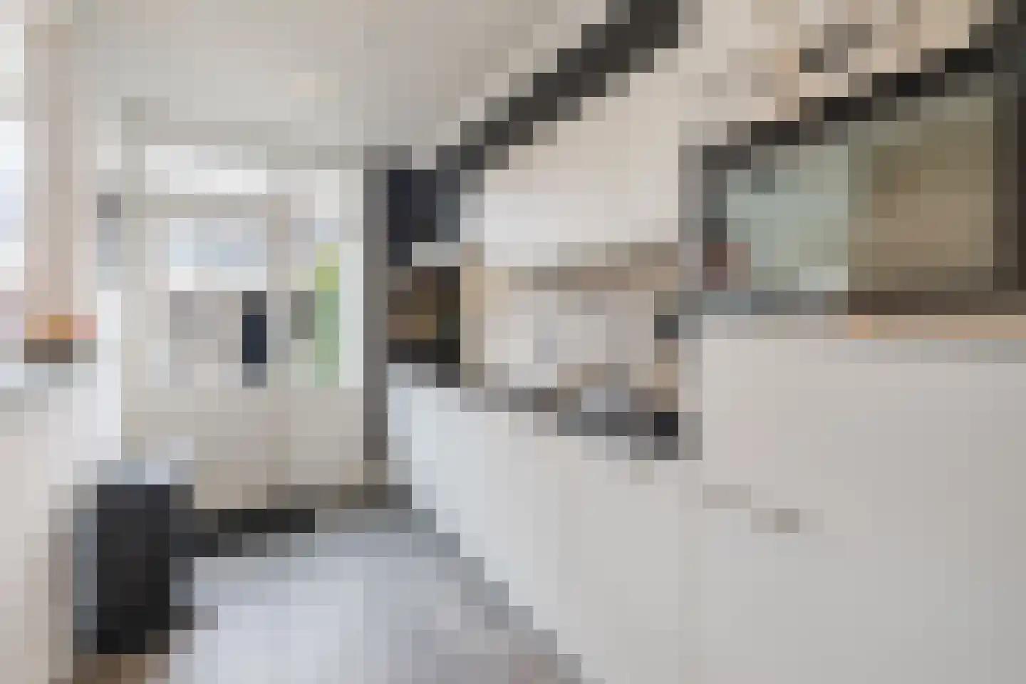 Piet Heinstraat 34 Borne thumbnail 12