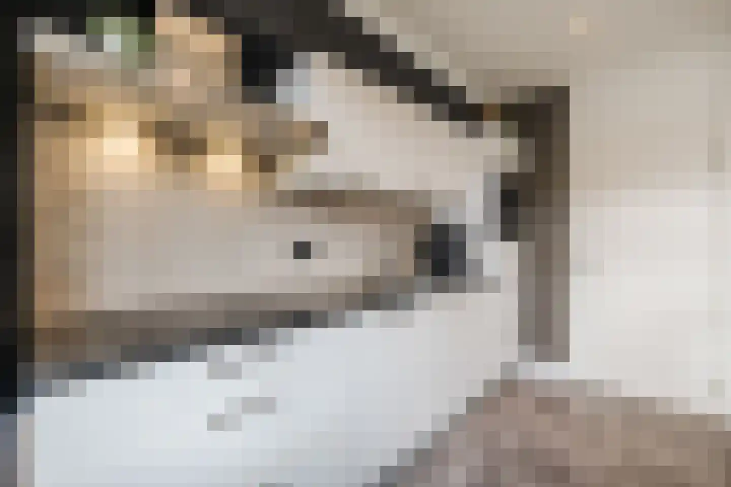 Piet Heinstraat 34 Borne thumbnail 13