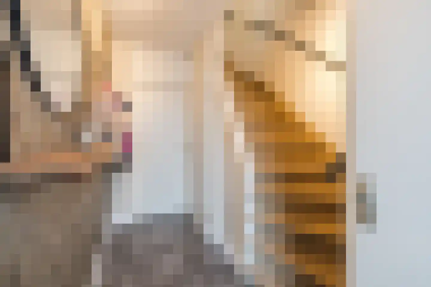 Piet Heinstraat 34 Borne thumbnail 16