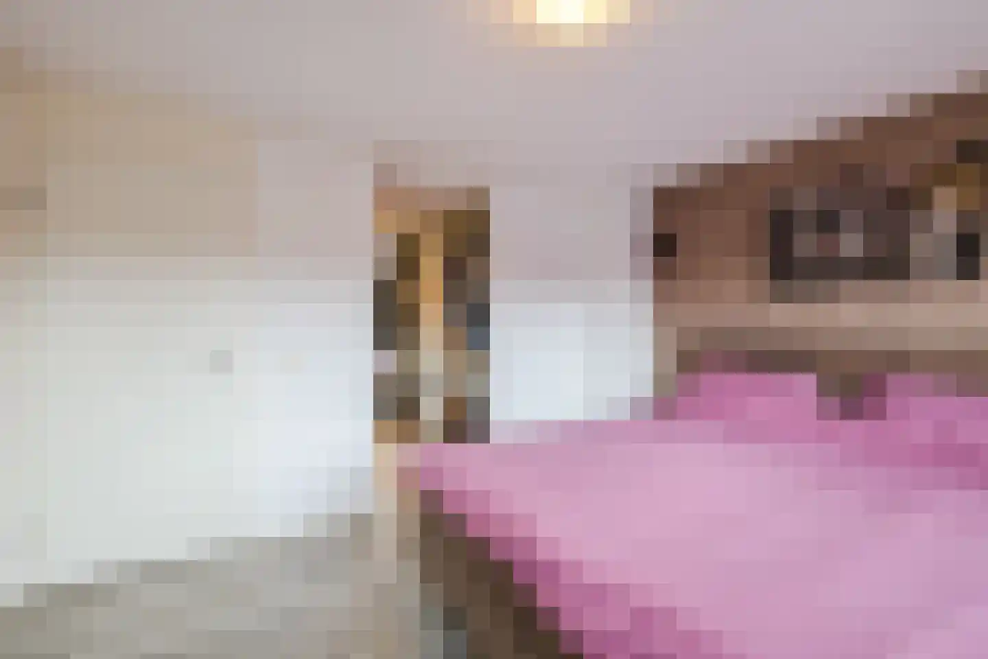 Piet Heinstraat 34 Borne thumbnail 18