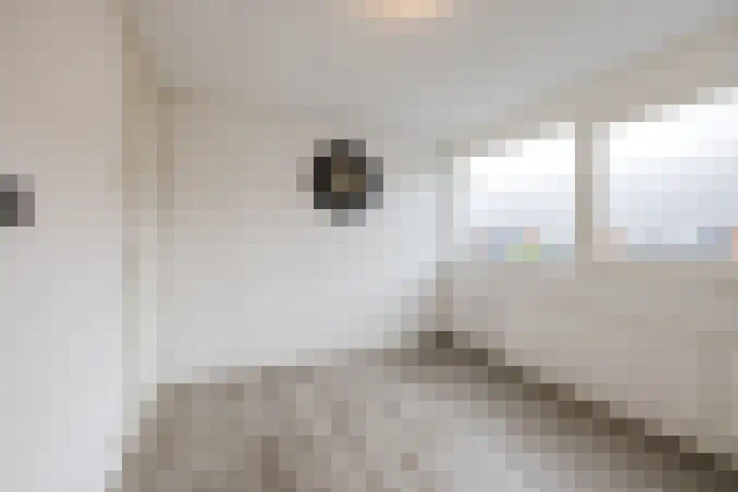 Piet Heinstraat 34 Borne thumbnail 23