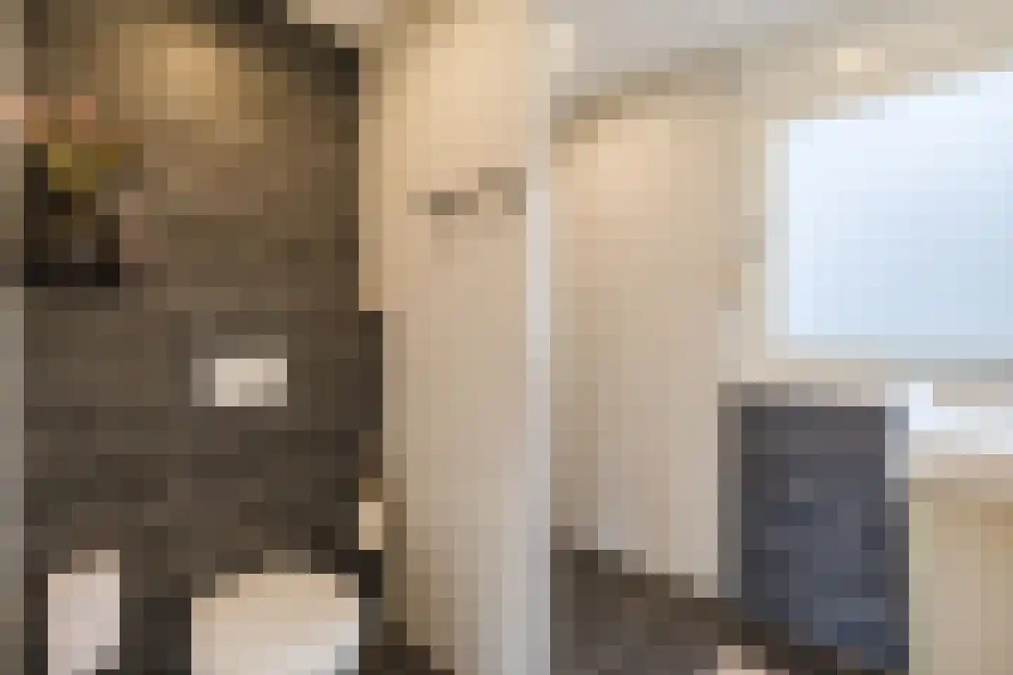 Piet Heinstraat 34 Borne thumbnail 28