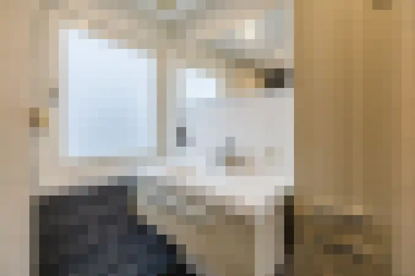 Piet Heinstraat 34 Borne thumbnail 29