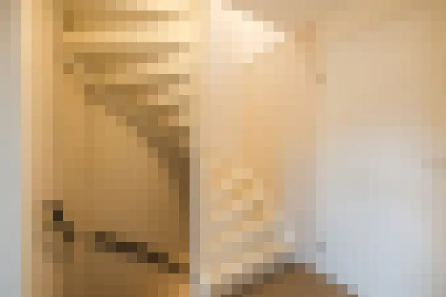 Piet Heinstraat 34 Borne thumbnail 32
