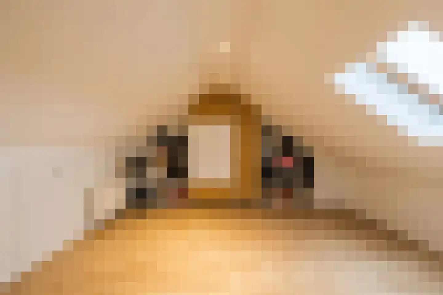 Piet Heinstraat 34 Borne thumbnail 33
