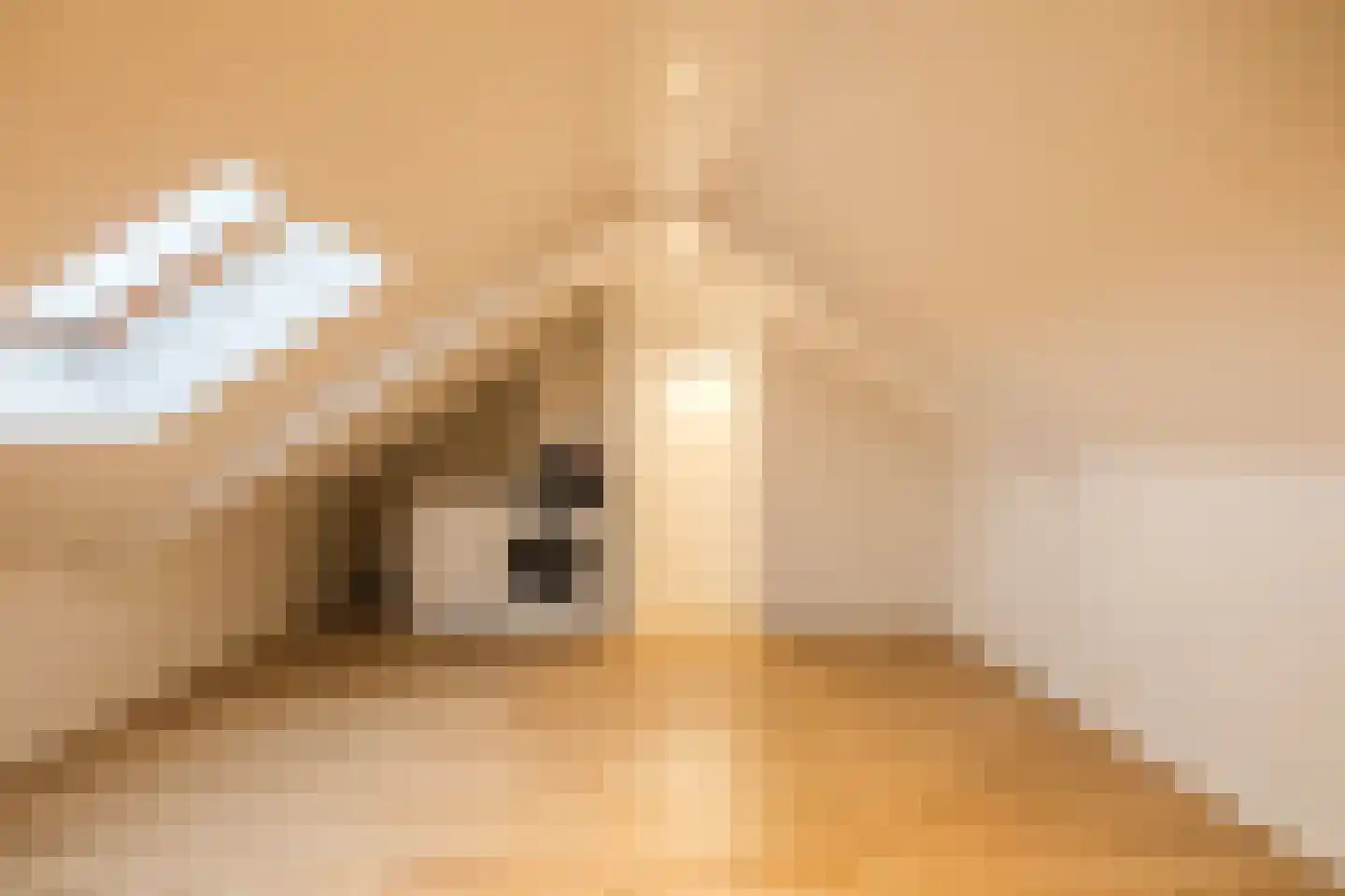 Piet Heinstraat 34 Borne thumbnail 34