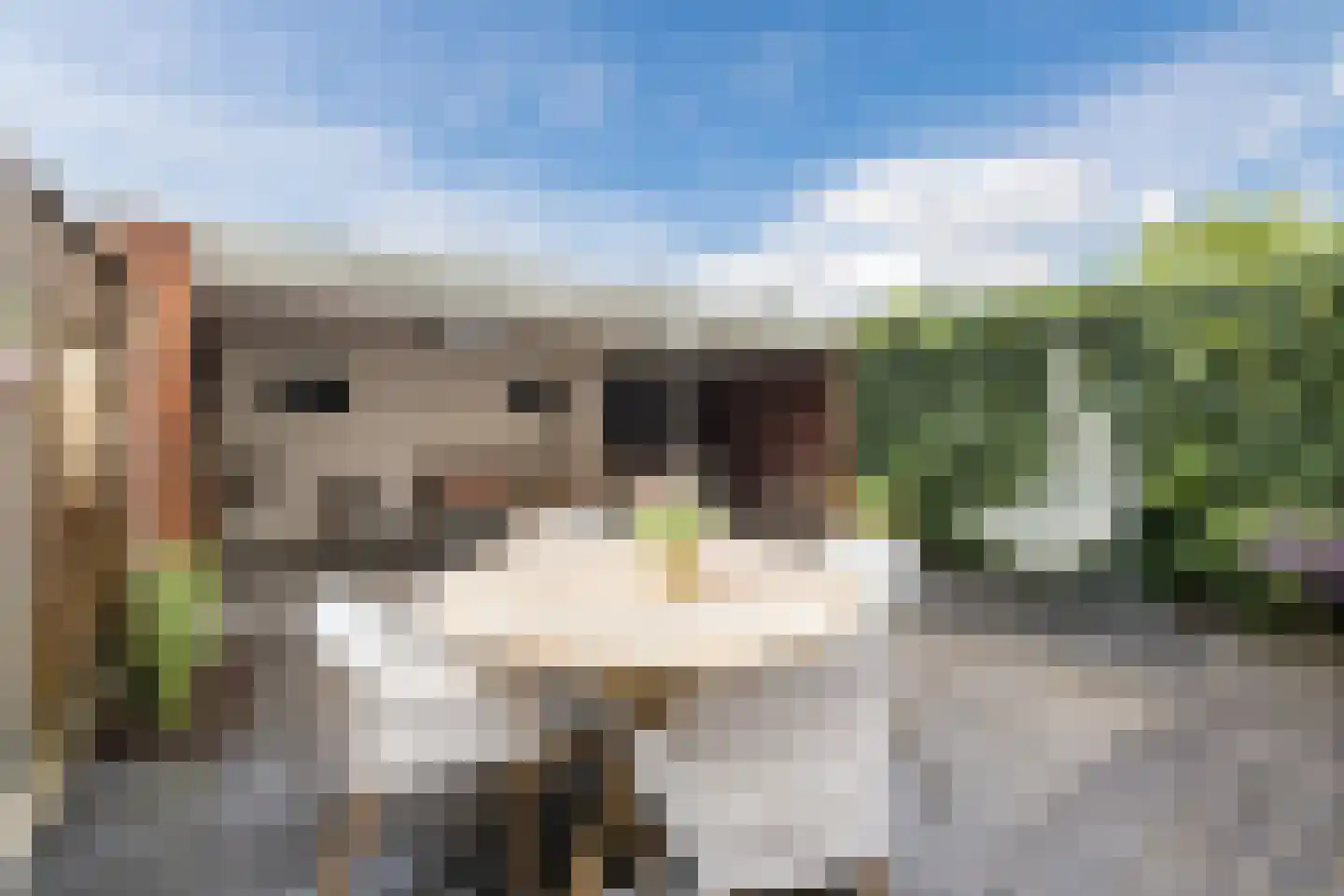 Piet Heinstraat 34 Borne thumbnail 35