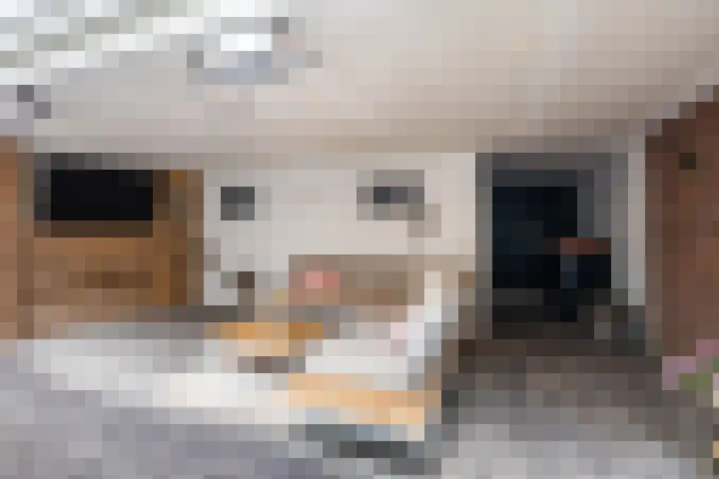 Piet Heinstraat 34 Borne thumbnail 36