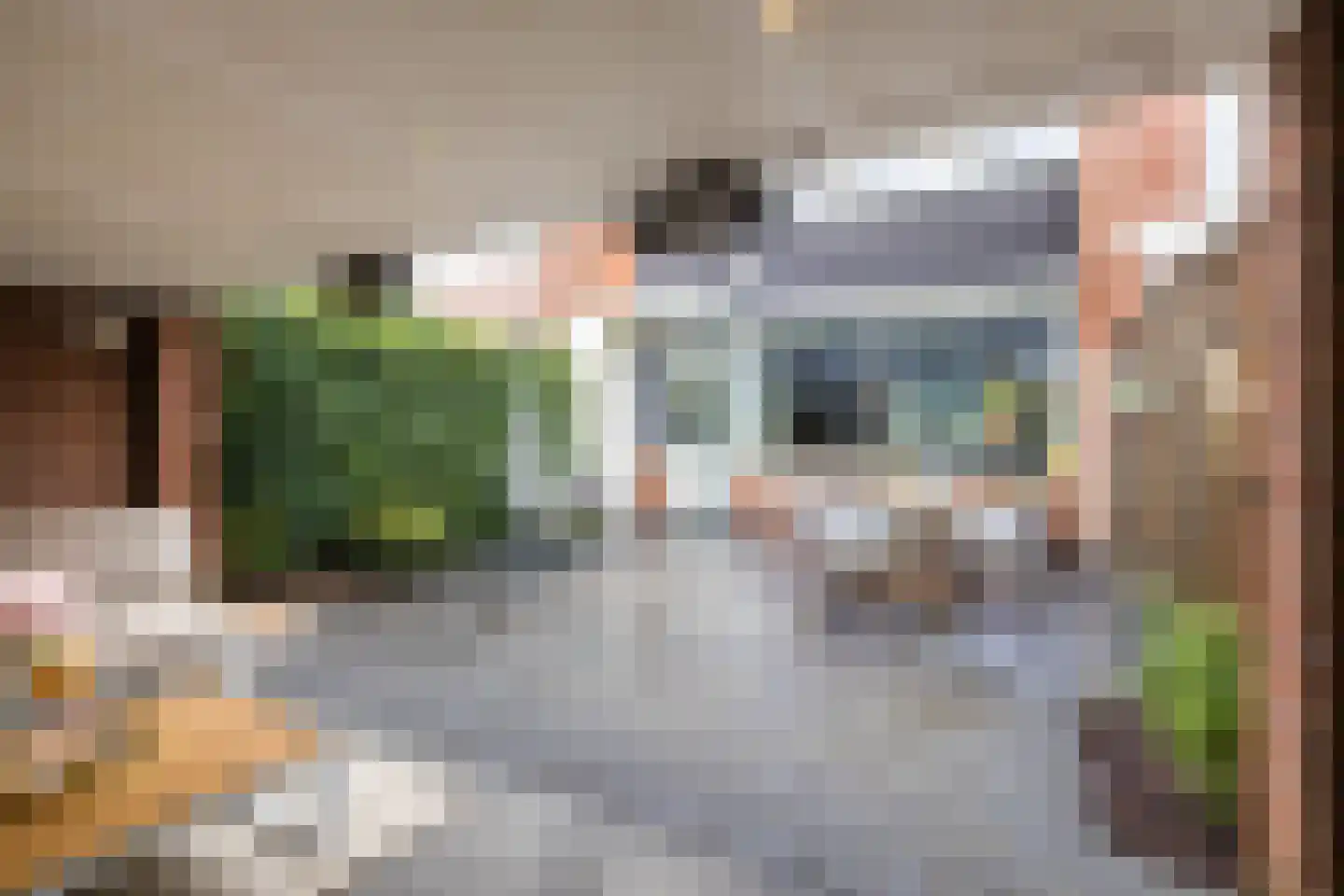 Piet Heinstraat 34 Borne thumbnail 37