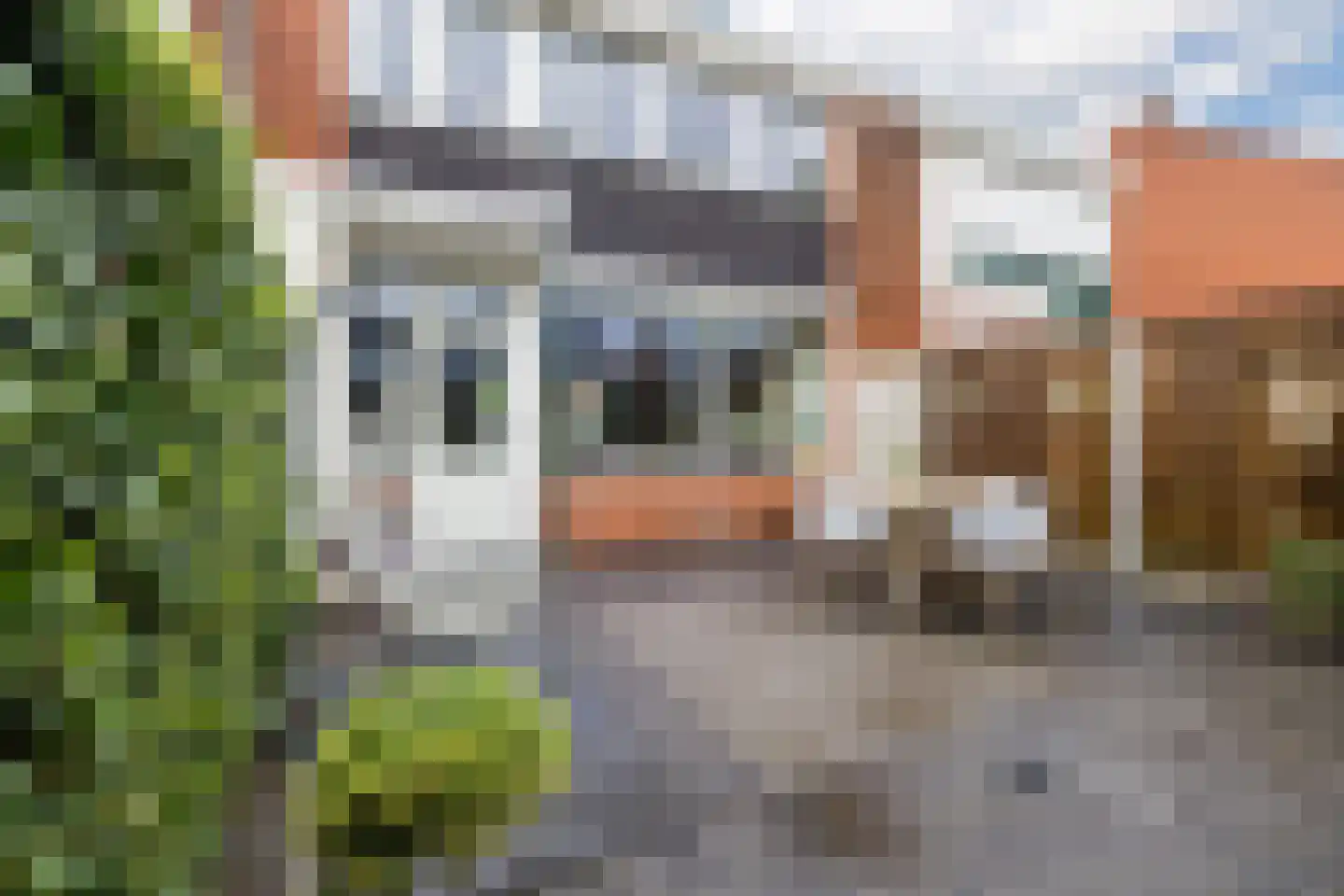 Piet Heinstraat 34 Borne thumbnail 39