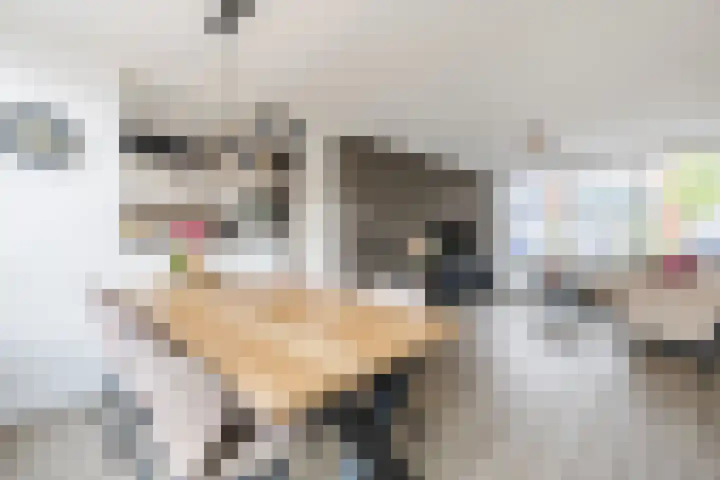 Piet Heinstraat 34 Borne thumbnail 6