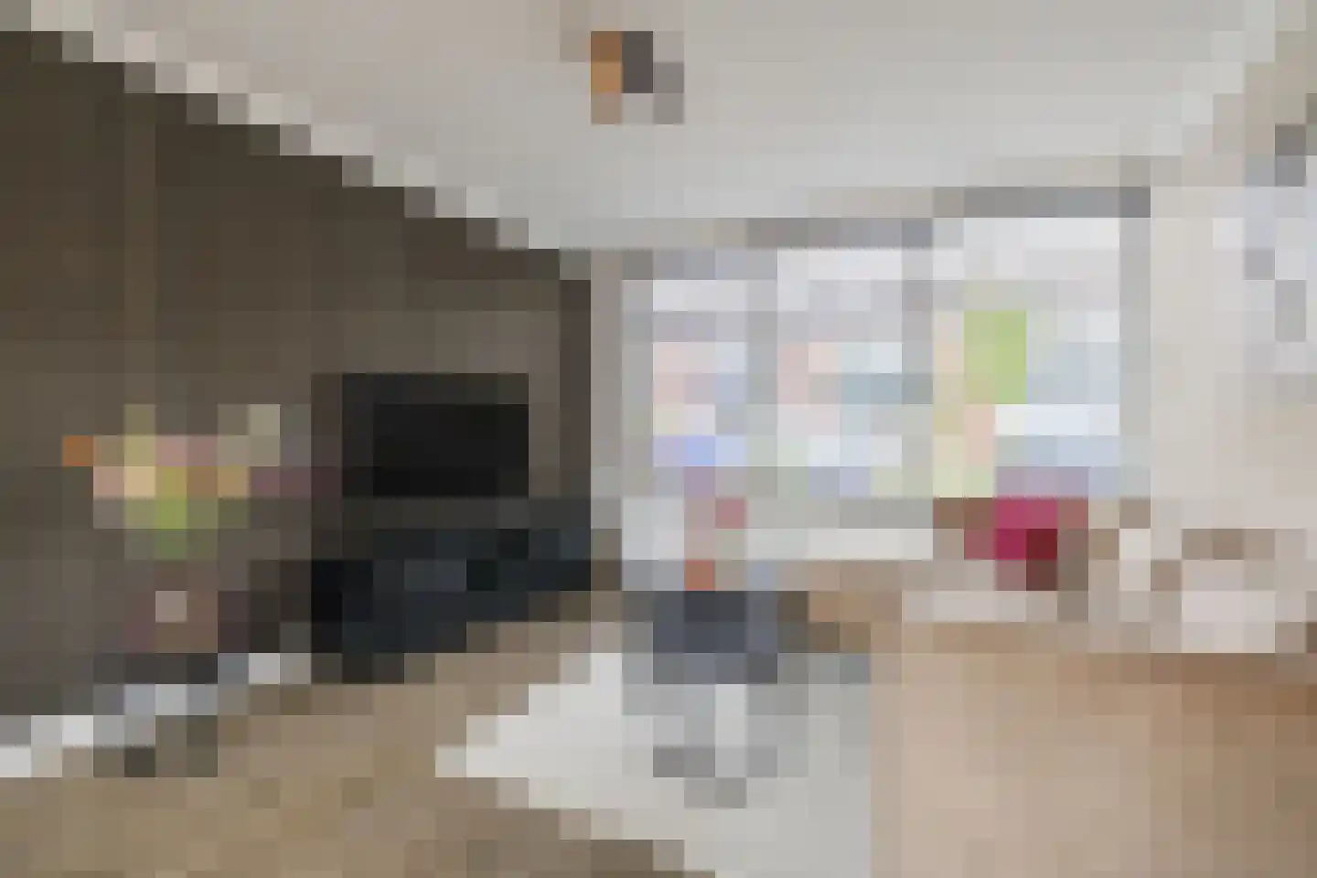 Piet Heinstraat 34 Borne thumbnail 8