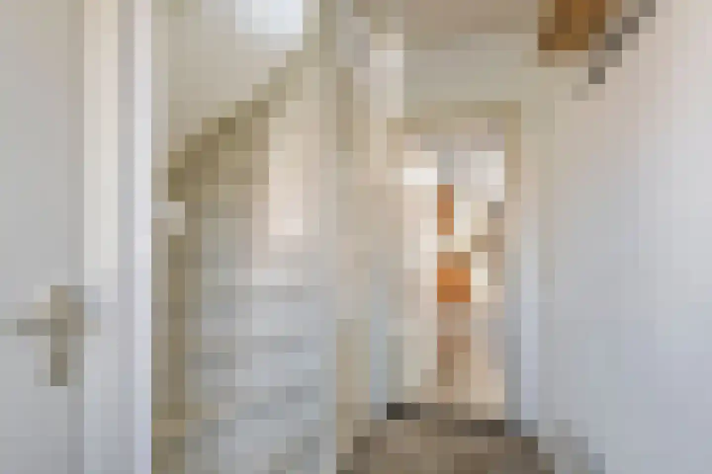 Piet Heinstraat 34 Druten thumbnail 14