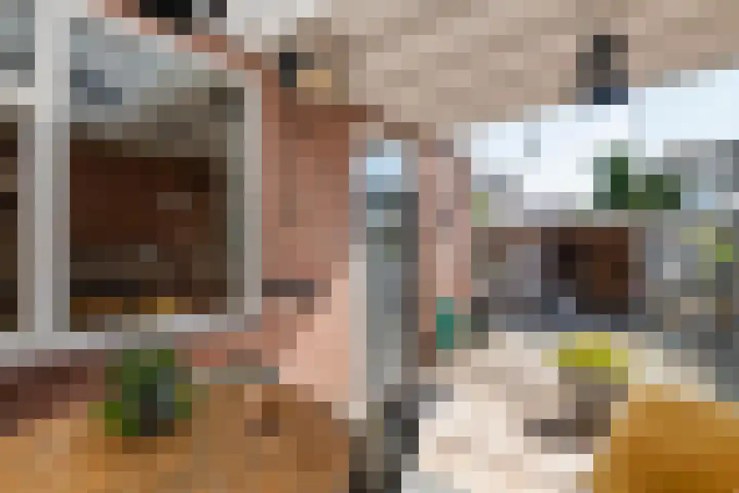 Piet Heinstraat 34 Druten thumbnail 23