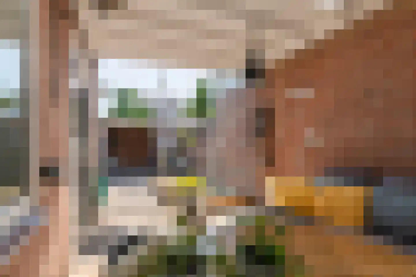 Piet Heinstraat 34 Druten thumbnail 24