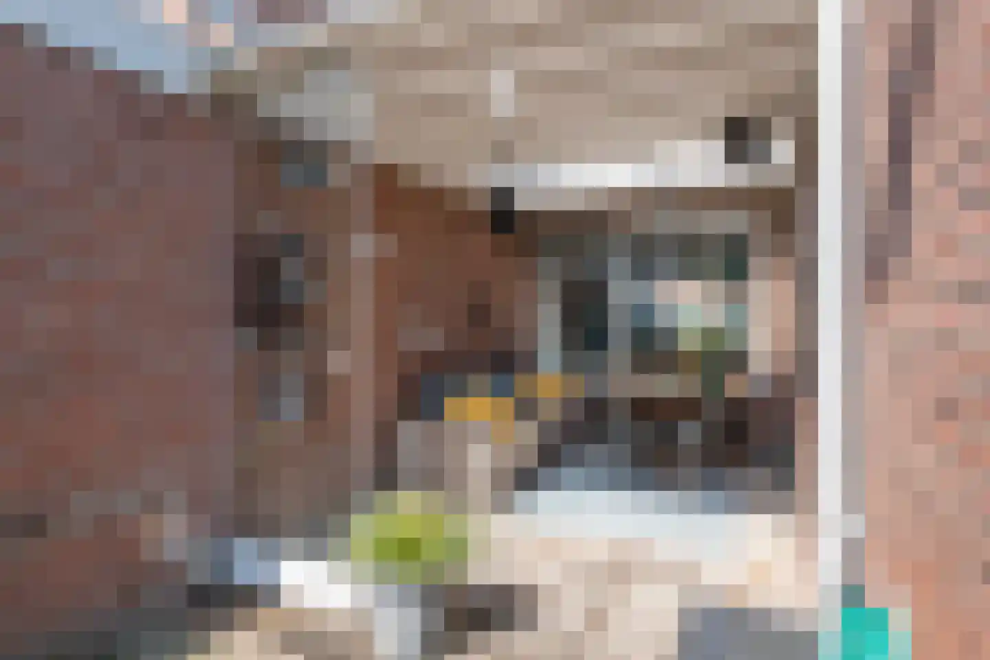 Piet Heinstraat 34 Druten thumbnail 25