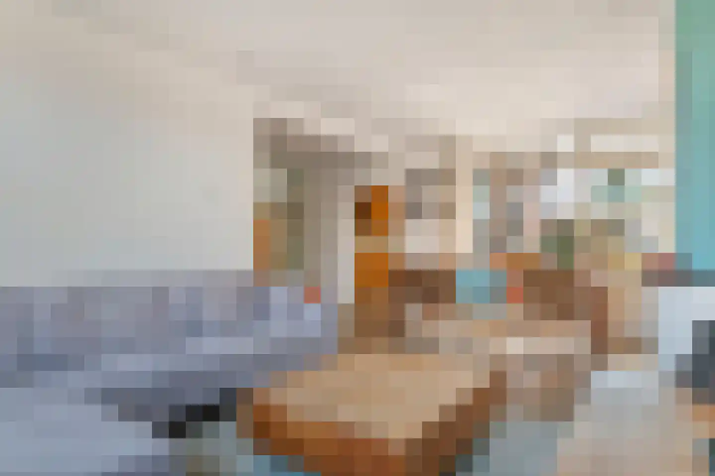 Piet Heinstraat 34 Druten thumbnail 5