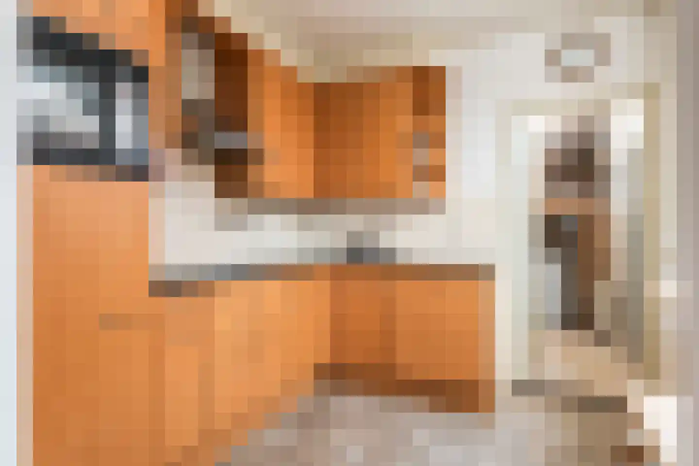 Piet Heinstraat 34 Druten thumbnail 9