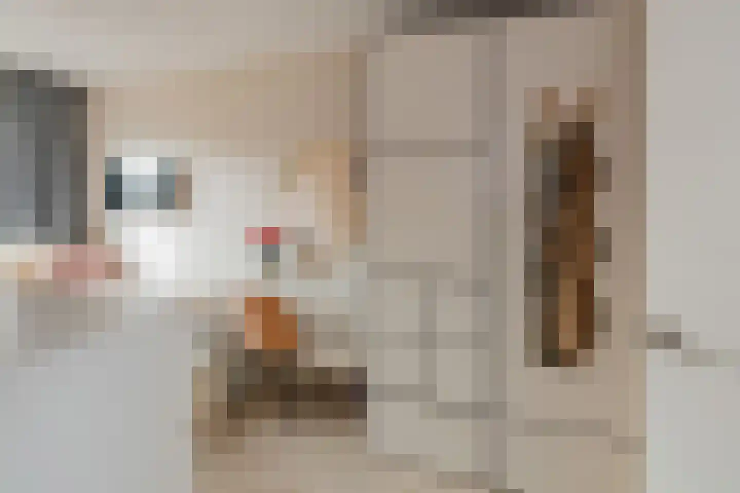 Piet Heinstraat 34 IJmuiden thumbnail 35
