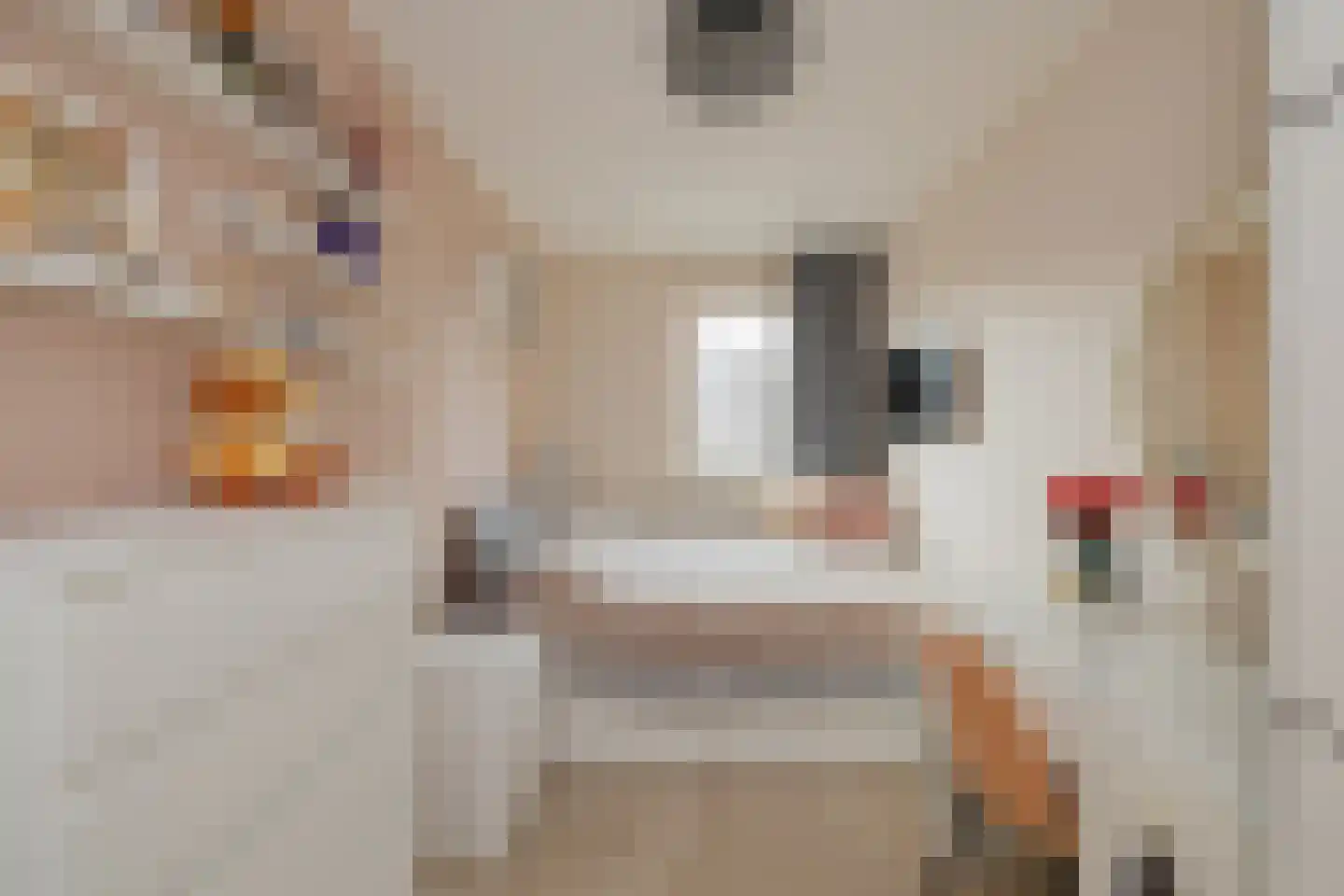 Piet Heinstraat 34 IJmuiden thumbnail 36