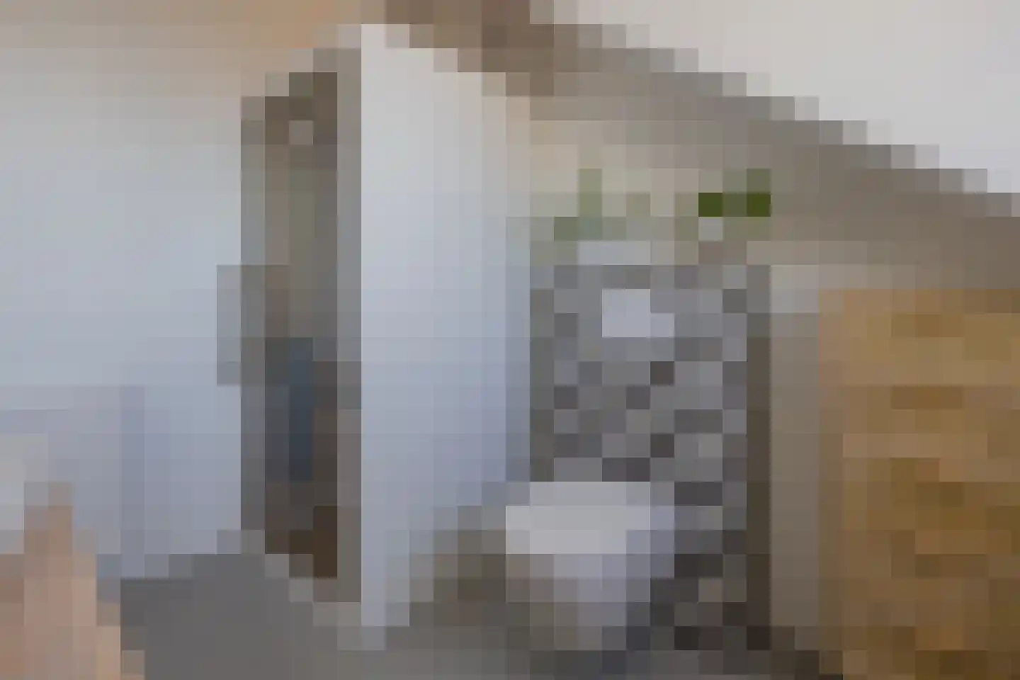Piet Heinstraat 34 Lisse thumbnail 36