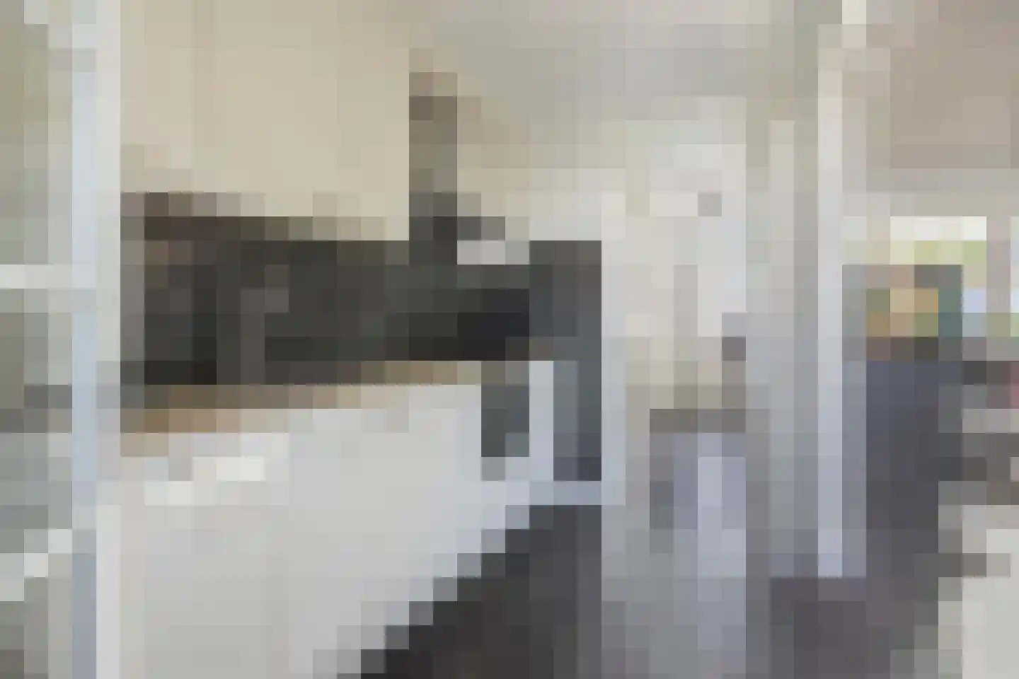 Piet Heinstraat 36 Borne thumbnail 14