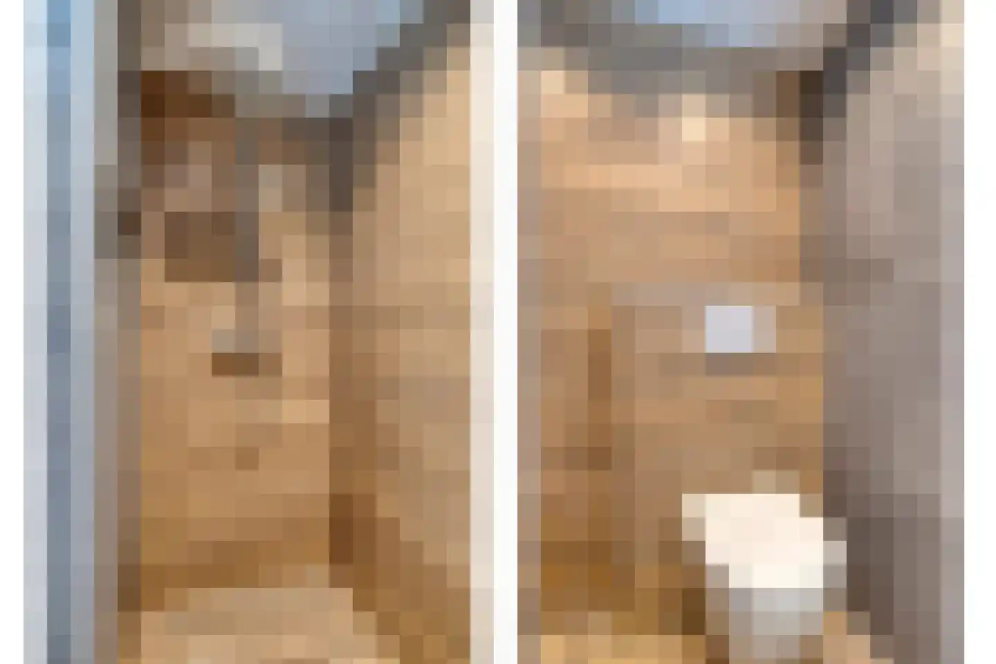 Piet Heinstraat 36 Borne thumbnail 20