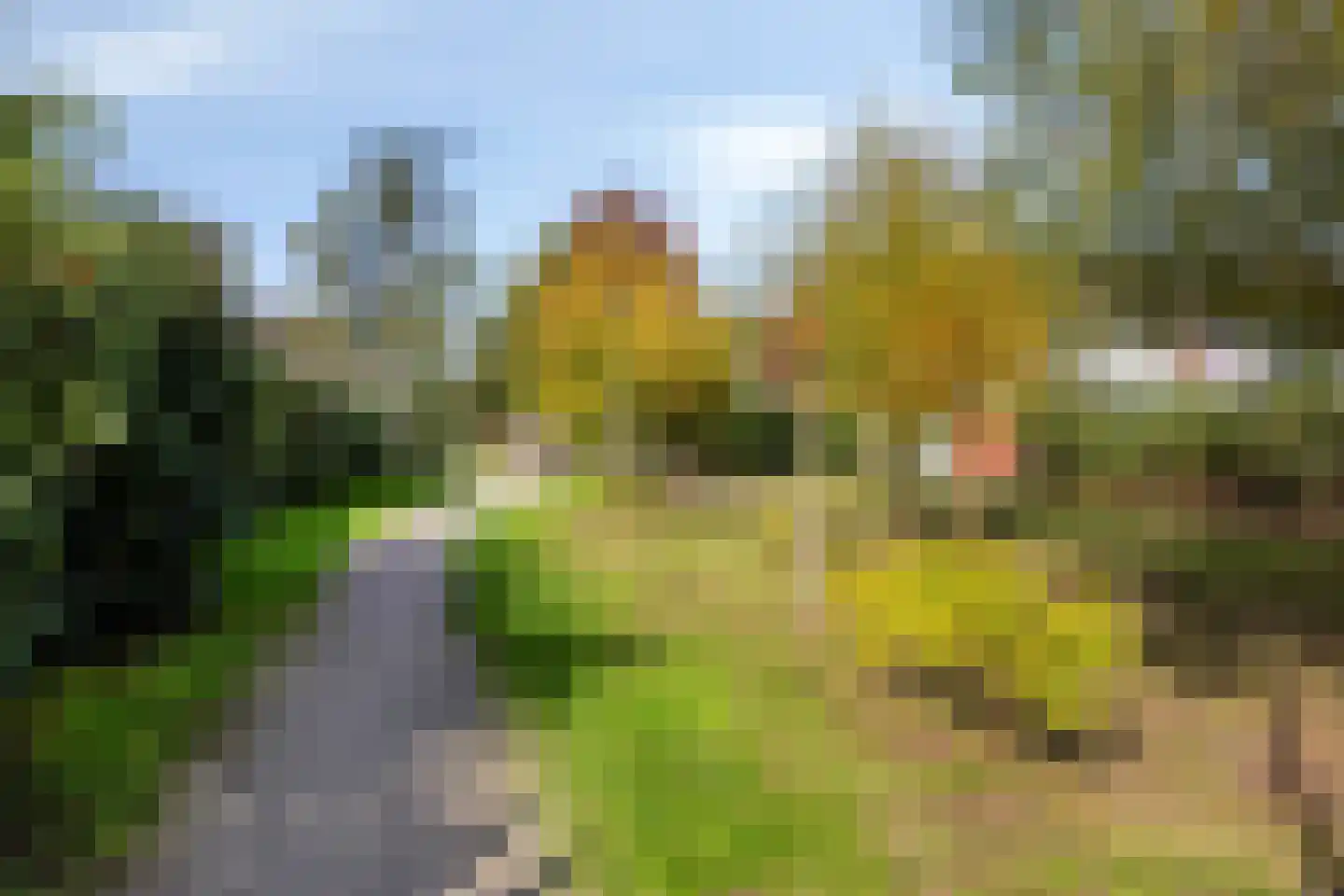 Piet Heinstraat 36 Borne thumbnail 31