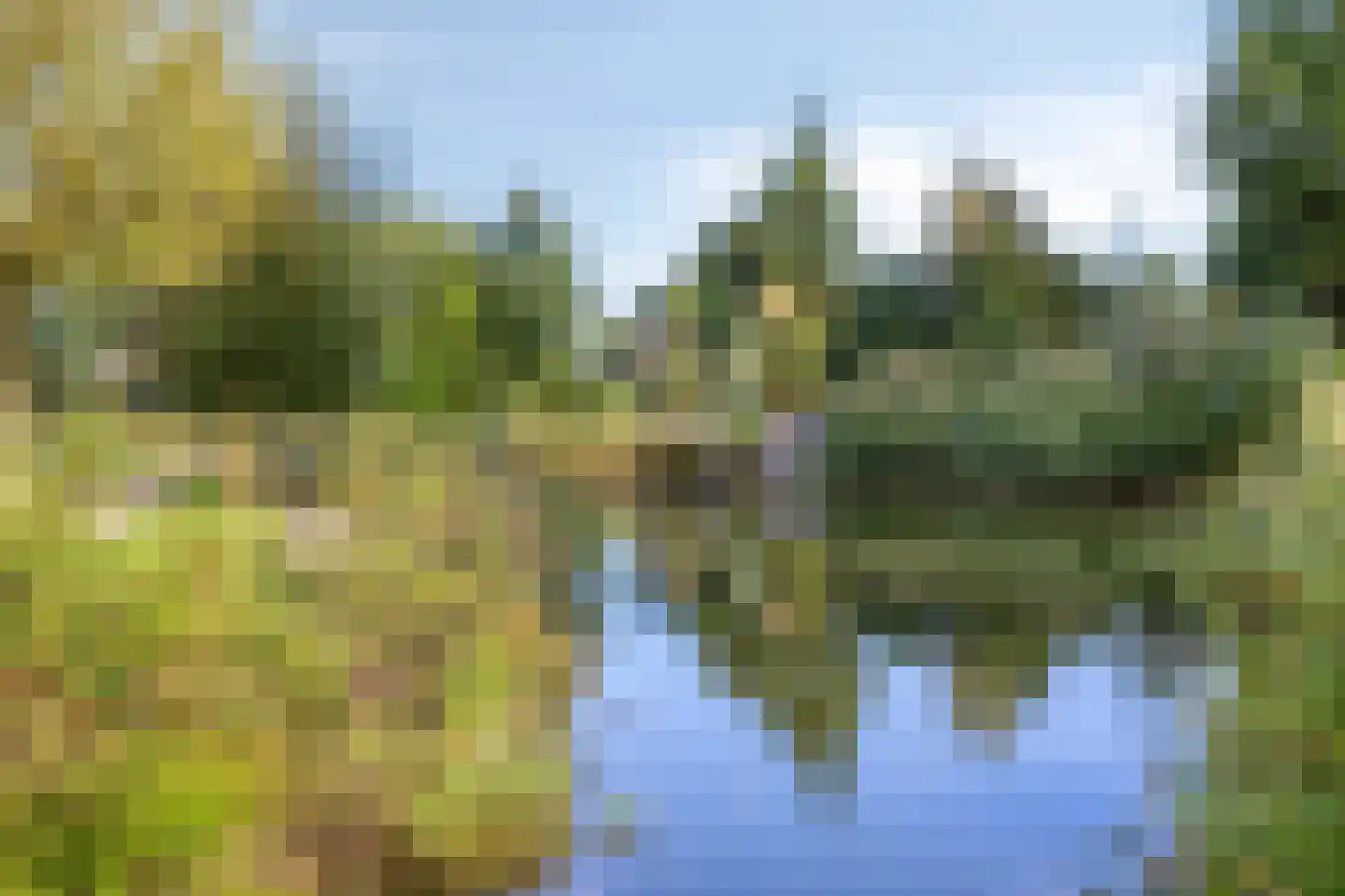 Piet Heinstraat 36 Borne thumbnail 33