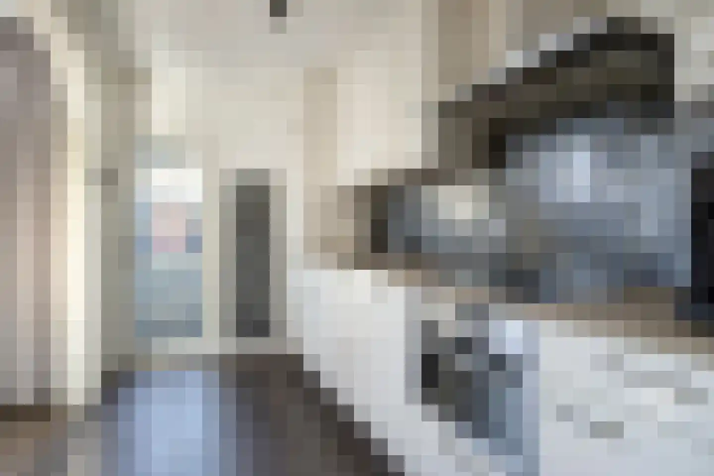Piet Heinstraat 36 Borne thumbnail 4