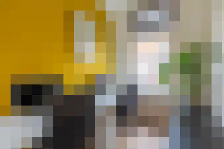 Piet Heinstraat 36 Delft thumbnail 10