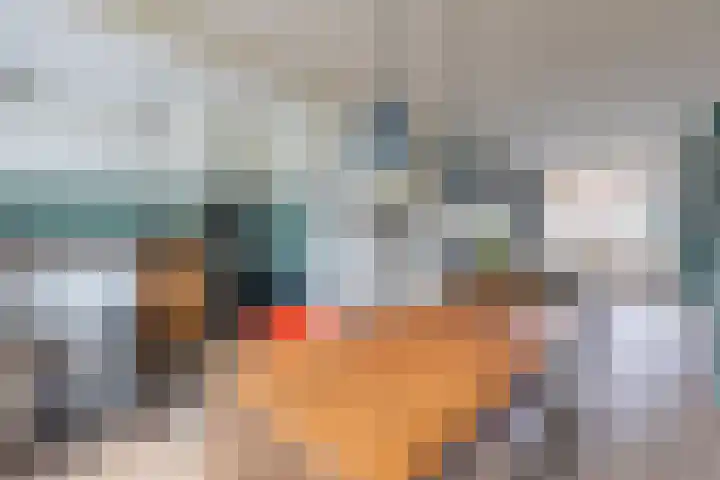 Piet Heinstraat 36 Delft thumbnail 11