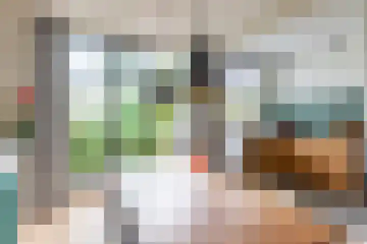 Piet Heinstraat 36 Delft thumbnail 16