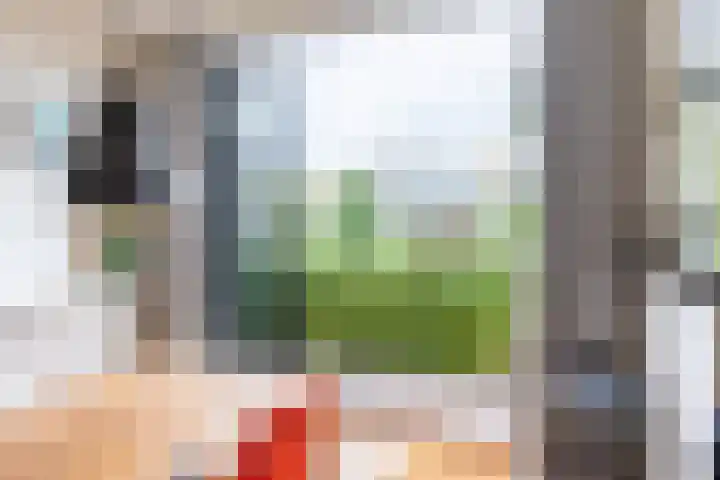 Piet Heinstraat 36 Delft thumbnail 17