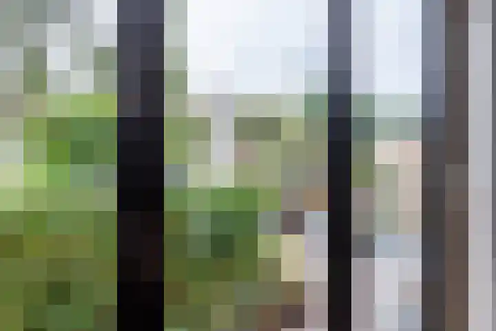 Piet Heinstraat 36 Delft thumbnail 20