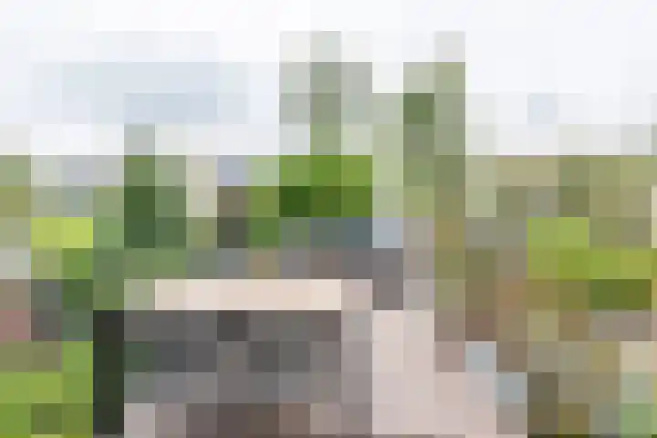 Piet Heinstraat 36 Delft thumbnail 22