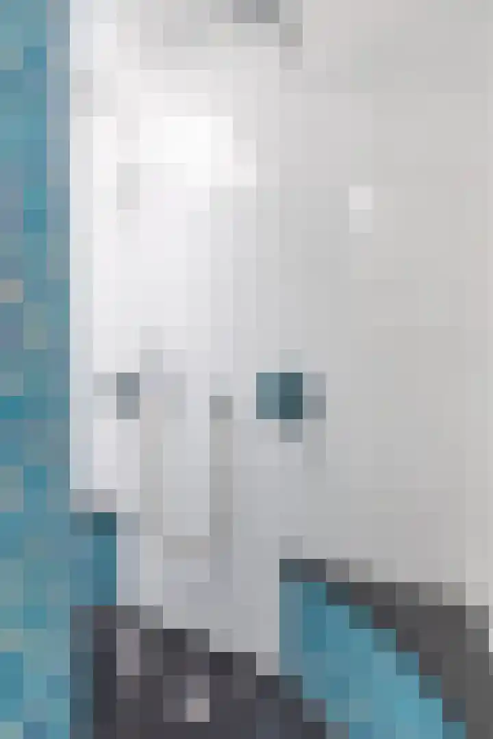 Piet Heinstraat 36 Delft thumbnail 30