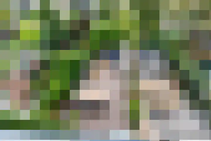 Piet Heinstraat 36 Delft thumbnail 34