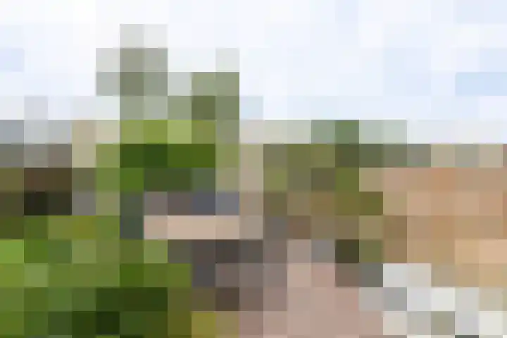 Piet Heinstraat 36 Delft thumbnail 4