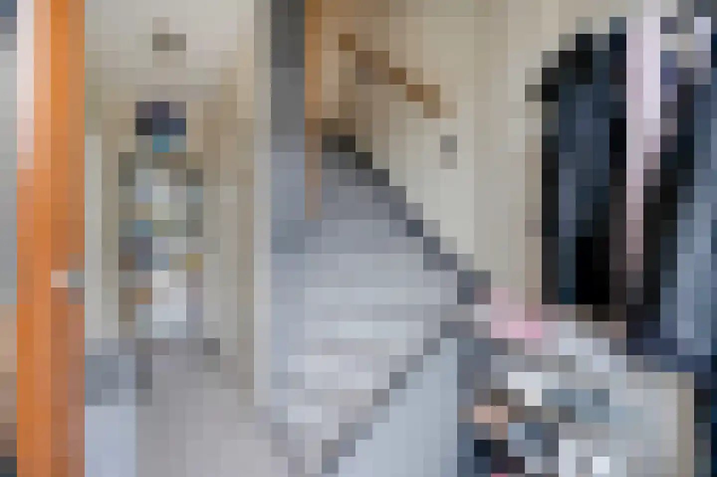 Piet Heinstraat 37 Delfzijl thumbnail 16