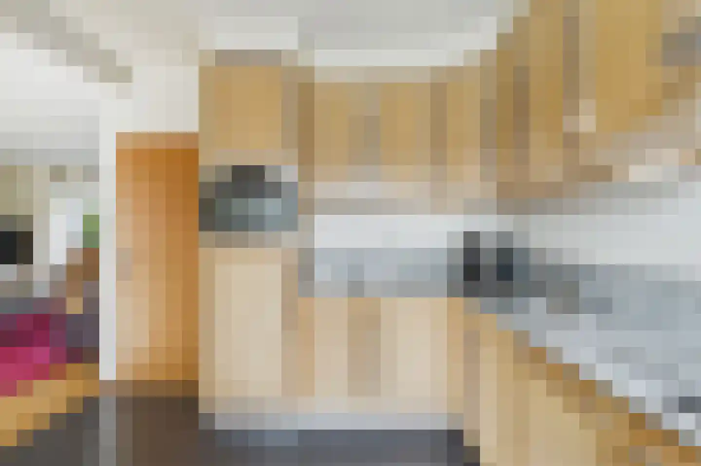 Piet Heinstraat 38 Kloosterzande thumbnail 12
